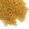 Seed & Bugle Beads
