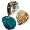 Shell Beads