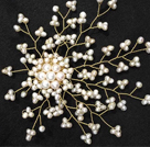 Graceful Women Natural White Freshwater Pearl Starry Sky Brooch