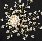 Graceful kvinnor Natural White Freshwater Pearl Starry Sky Brosch