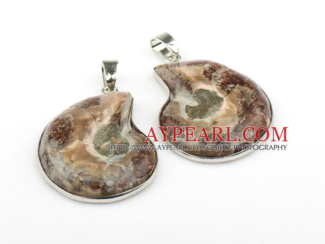 Pendentifs naturelles Conch Amant Fossiles (Total des deux pendentifs pas de chaîne)