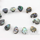 paua shell beads,10*14mm teardrop, top drilled ,Sold per 15.75-inch strands