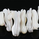 Shell Beads, White, 5*10*30mm long tooth, lip shell, Sold per 15-inch strand