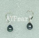 Wholesale pearl earring