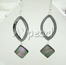 shell earrings
