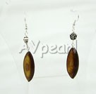 shell earrings