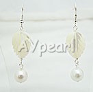 pearl white lip shell earrings