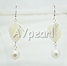Wholesale pearl white lip shell earrings