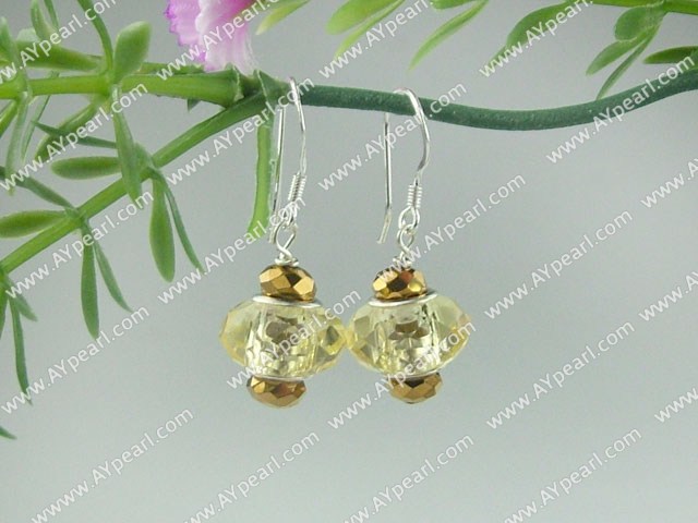 Charm earring