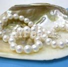 Wholesale pearl necklace