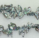 Biwa tooth shape freshwater pearl  beads, 5*14*20mm top-drilled keshi. Sold per 15-inch strand.